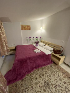 Гостиница Apartment Studio on Bucuresti 9/1  Кишинёв